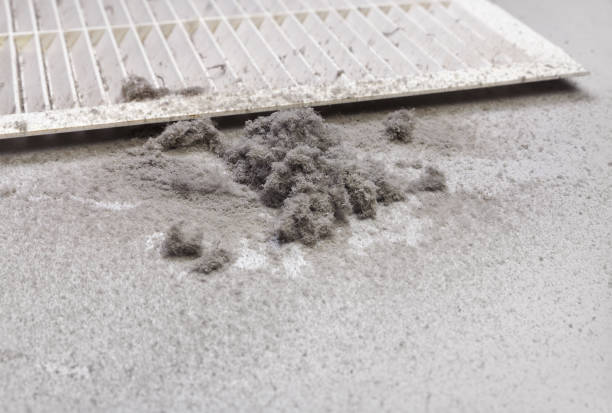 Best Emergency Air Duct Cleaning  in Sullivan City, TX